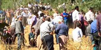 Hakkari'deki Terör Saldırısı