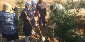 Öğretmenler Günü'nü Fidan Dikerek Kutladılar