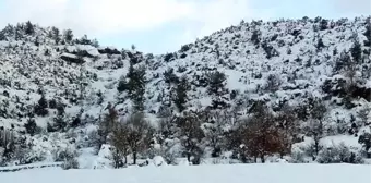 Eski Belediye Başkanı Ölü Bulundu