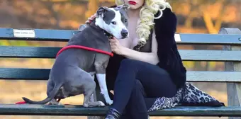 Televizyon Yıldızı Courtney Stodden, Sütyeniyle Köpek Gezdirmeye Çıktı