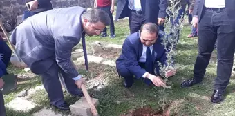 Viranşehir'de Fidan Seferberliği Başlatıldı