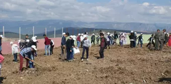 Dünya Ormancılık Günü ve Orman Haftası