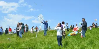 Tokat'ta 'Uçurtma Şenliği' Düzenlendi