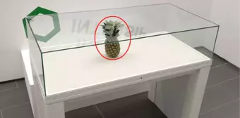 Şaka İçin Sergiye Bırakılan Ananas, Sanat Eseri Diye Cam Vitrine Alındı