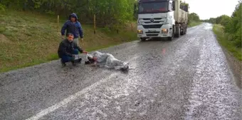 Motosiklet Devrildi, Sürücü Ölümden Döndü