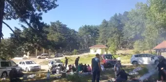 Piknik Alanları Doldu Taştı