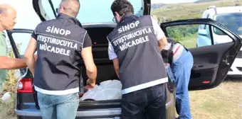 Sinop'ta Uyuşturucu Operasyonu : 3 Gözaltı