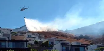 Bodrum'da Makilik Alandaki Yangın, Yerleşim Yerlerini Tehdit Etti