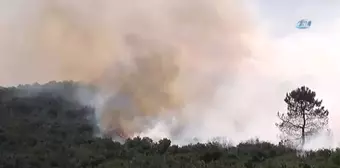 Sancaktepe'de Askeri Alanda Yangın