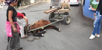 Halk Dolmuşu At Arabasına Çarptı