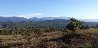 Gökhan ve Hakan Özoğuz Kardeşler, Kazdağları'nda Tarla Aldı