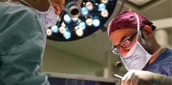 Yeniden) - 'Rhinoplasty School 19. Toplantısı Azerbaycan'da Yapılacak