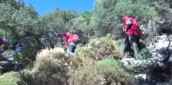 Kayalıklarda Mahsur Kalan Kişiyi Akut Kurtardı