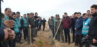 Karaman'da Denetimli Serbestlik Hükümlüleri Fidan Dikti