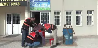 Çöp Bidonları Sokak Köpekleri İçin Yuvaya Dönüştürüldü