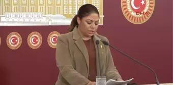 CHP'li Zeynep Altıok Açıklama Yaptı