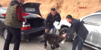 Adıyaman'dan 'Zeytin Dalı Harekatı' İçin Jöh Sevkiyatı