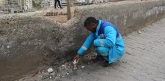 Temizlik İşçisi Okul Yoluna Tuzaklanmış Bomba Buldu