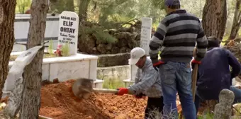 Kuzenlerinin Öz Kardeşleri Olduğunu 70 Yıl Sonra Öğrendi, 6 Mezar Açtırdı