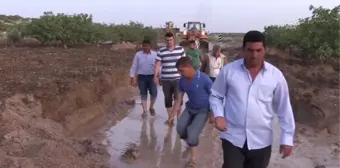 Dolu Fıstık Ağaçlarına Zarar Verdi