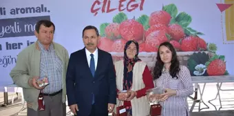 Kdz. Ereğli'de En Güzel Osmanlı Çileği ve Pastası Seçildi