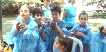 Kadıköy Çevre Festivali Devam Ediyor