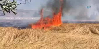 Sivas'ta Buğday Tarlasında Yangın