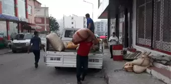 Ordu'da Üreticiler Fındık Satışına Başladı