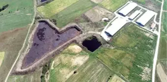 Kırklareli'nde Gübre Biriktirme Havuzlarındaki Atıklar, Derelere Karıştı