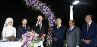 Cumhurbaşkanı Erdoğan Nikah Şahidi Oldu