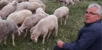 Belediye Başkanı Yılmaz, Huzuru Çobanlıkta Buldu