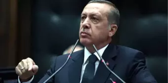 Erdoğan'dan Hayvan Hakları Talimatı: Bir An Önce Çıkartın