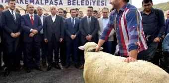 Hayvanlar En Güzel Olmak İçin Yarıştı