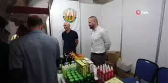 Kuşadası Zeytin Festivali Devam Ediyor