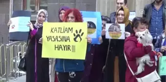 Hayvanlara Yönelik Suçlar TCK'ya Göre Cezalandırılsın'