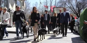 Çankaya Adayı Türkmen Seçim Çalışmalarını Sürdürüyor