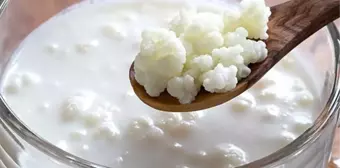 Kefir Pazarı Büyüyor: 18 Bin Litre Kefir İçtik!