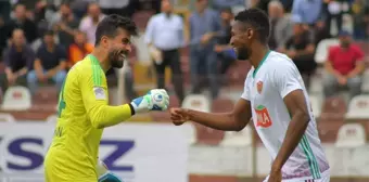 Spor Toto 1. Lig: Hatayspor: 4 - Adanaspor: 1