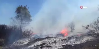 Orman Ekipleri Yangın Sezonuna Hazır