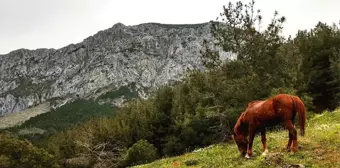 Usta fotoğrafçılara taş çıkardılar