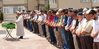 Mantardan zehirlenen kadın öldü, eşi yoğun bakımda