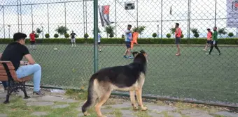 Köpeğin futbol tutkusu