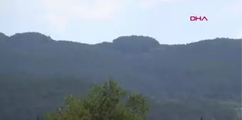 ZONGULDAK AYI SALDIRISINDA ÖLEN SEFER ARSLAN, TOPRAĞA VERİLDİ