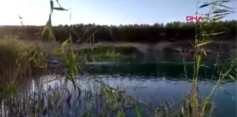 ŞANLIURFA Baraj gölüne giren genç boğuldu