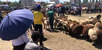 Hayvan pazarında bayram yoğunluğu