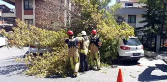 Florya'da bir ağaç, 3 aracın üzerine devrildi