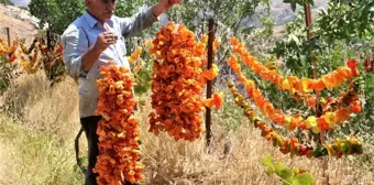 Elazığ'da kış için 'kurutmalık' mesaisi başladı