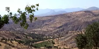 Terörden temizlenen bölgelerde fıstık ağaçları yeşerecek