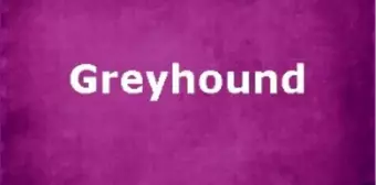 Greyhound Filmi