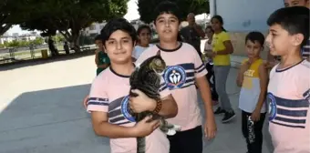 'Şanslı' kedi, öğrenci ve öğretmenlerin sevgisiyle yürüdü